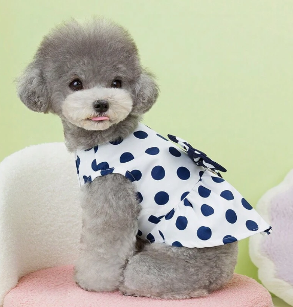 ハンドメイド犬服☆再販水玉リップルのサマーワンピ