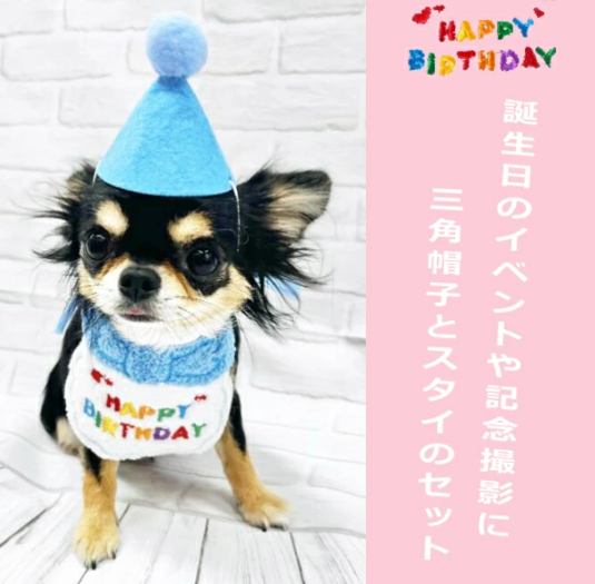 HAPPYBIRTHDAYスタイ ハッピースタイ 誕生日 ハッピーバースデー 犬用 
