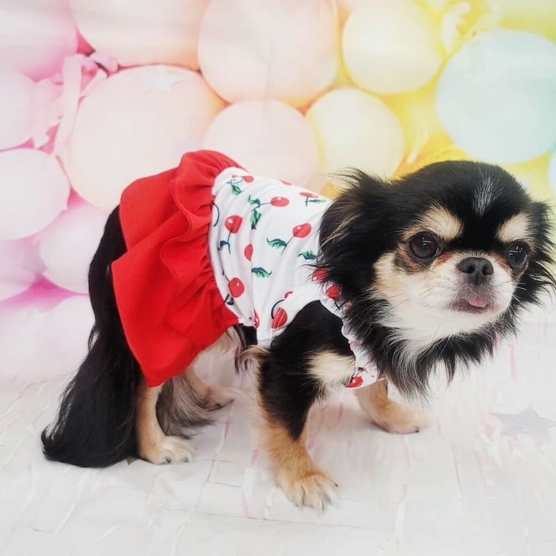 赤いチェリーの犬の服 犬の服 チェリー ワンピース 帽子付き 犬 犬服 春 夏 さくらんぼ