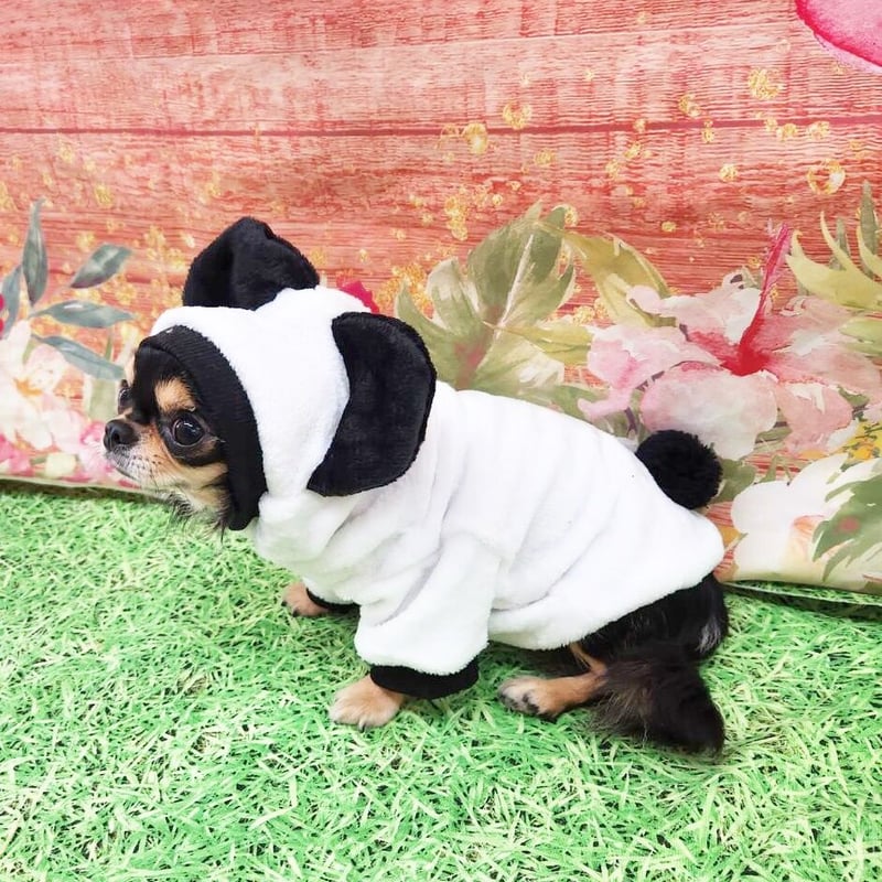 パンダ アウター 可愛い もこもこ コスプレ スカート 小型犬 服 