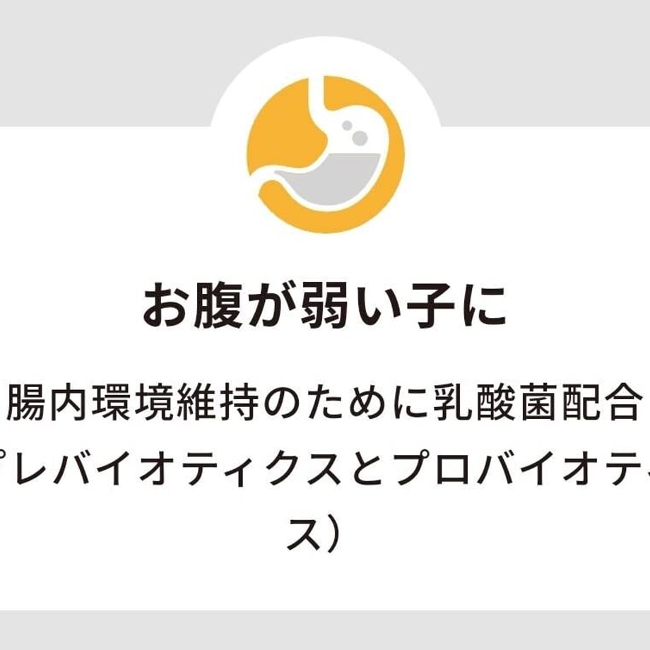 63ca28f252de155b99f2f96e