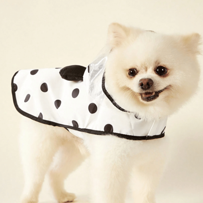 水玉 犬用 パンダ かっぱ ポンチョ 合羽 梅雨 おすすめ 小型犬 中型犬