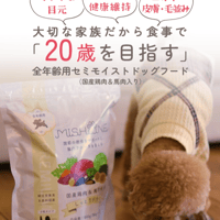 ミシュワン MISHONE セミモイストドッグフード全年齢用 国産鶏肉＆馬肉入り 犬 半生 国産 正規品 小分け 800ｇ 美味しい ドライフード