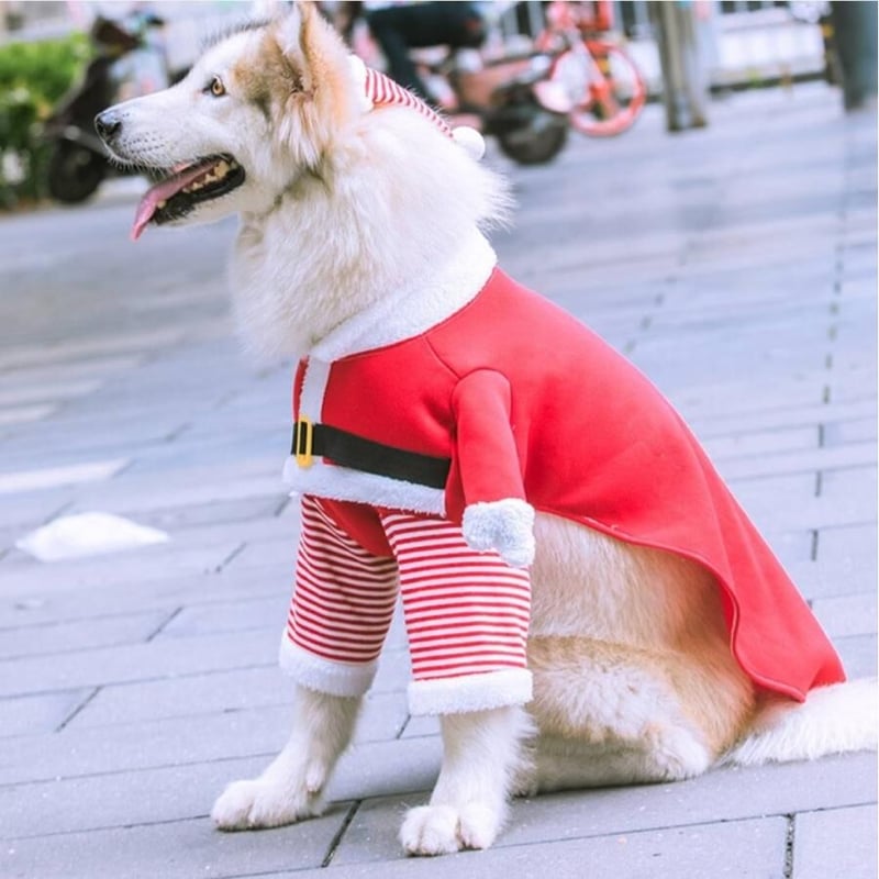 アウトレット！ サンタコスプレ クリスマス X'mas Christmas 可愛い 犬