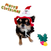クリスマス スタイ ニット帽子 トナカイ 犬用品 犬 犬グッズ 写真撮影 わんこの帽子 変身帽子 コスプレ帽子 わんこのコスプレ サンタクロース christmas