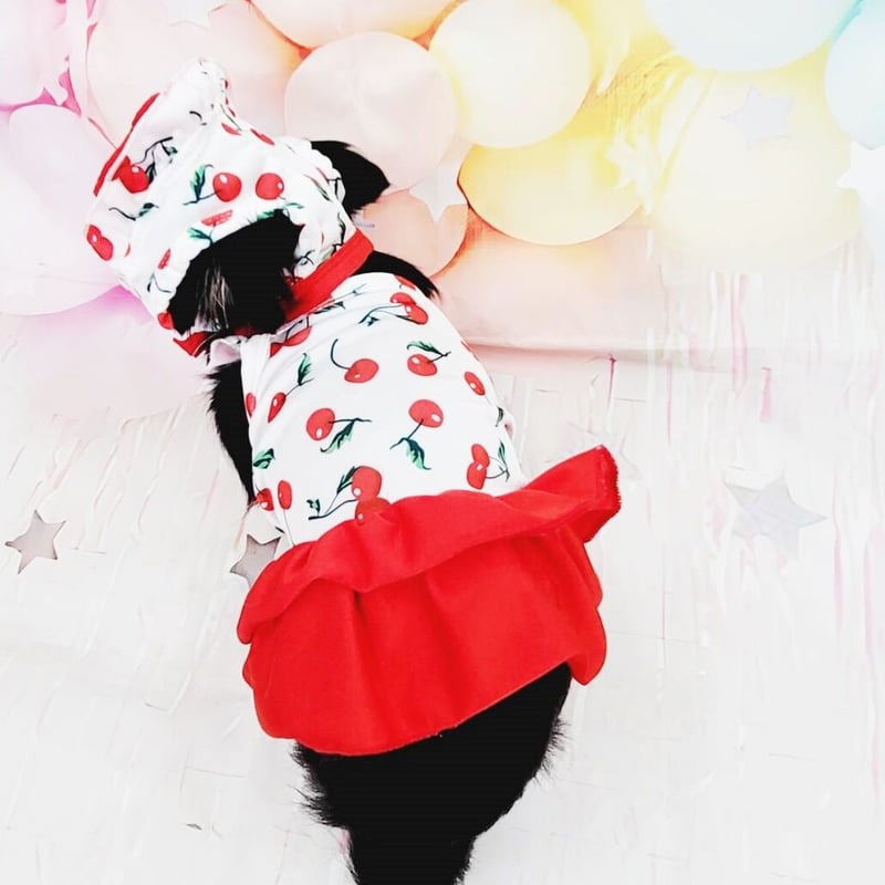 赤いチェリーの犬の服 赤いチェリーの犬の服 【公式通販】