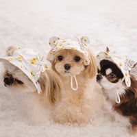 ひまわり柄 くま耳 帽子犬 帽子 CB262201 犬用帽子 ペット帽子 ドッグハット 小型犬 犬用アクセサリー 夏用犬帽子 日よけ帽子 紫外線対策