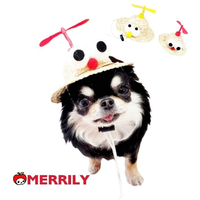 weekends 麦わら帽子を被った少年と愛犬テリアのブロチ ダイソーにペット麦わら帽子があったから買ってみた🤭 もっとキラキラ