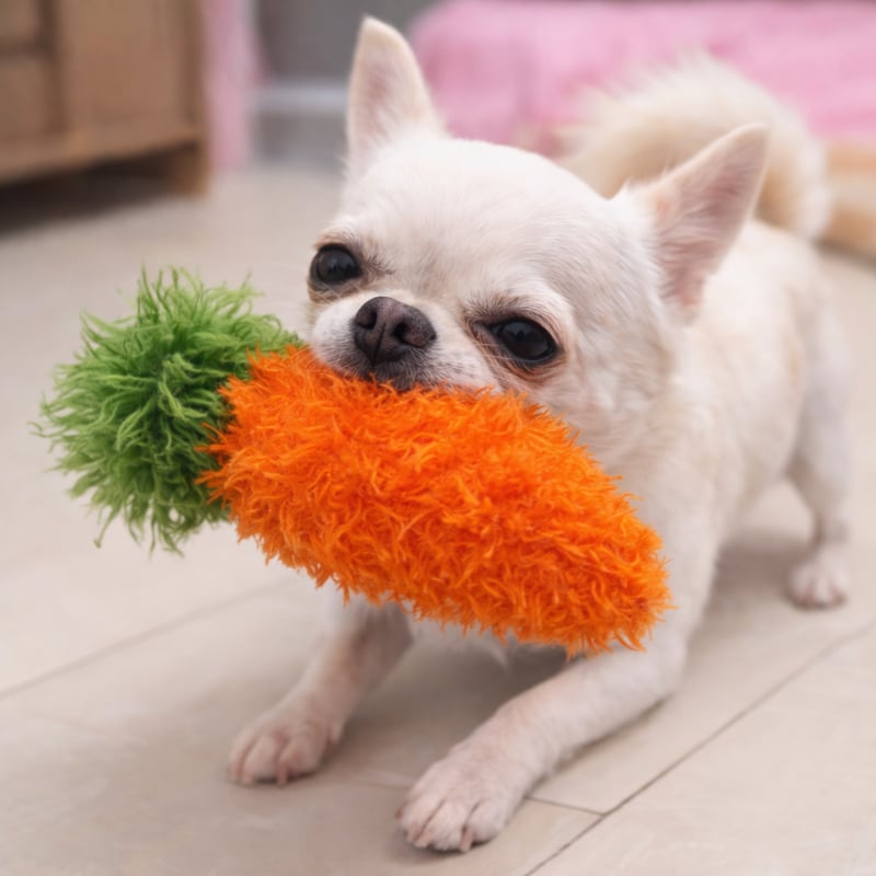オーマ・ロー オーマロー 犬のおもちゃ 歯みがき デンタルトイ いぬの