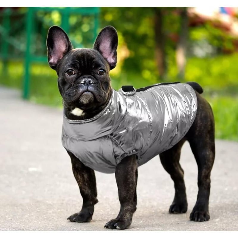 HERMES ドッグウェア　コート　犬　服　リード　ハーネス HERMES ドッグウェア コート 犬 服 リード ハーネス