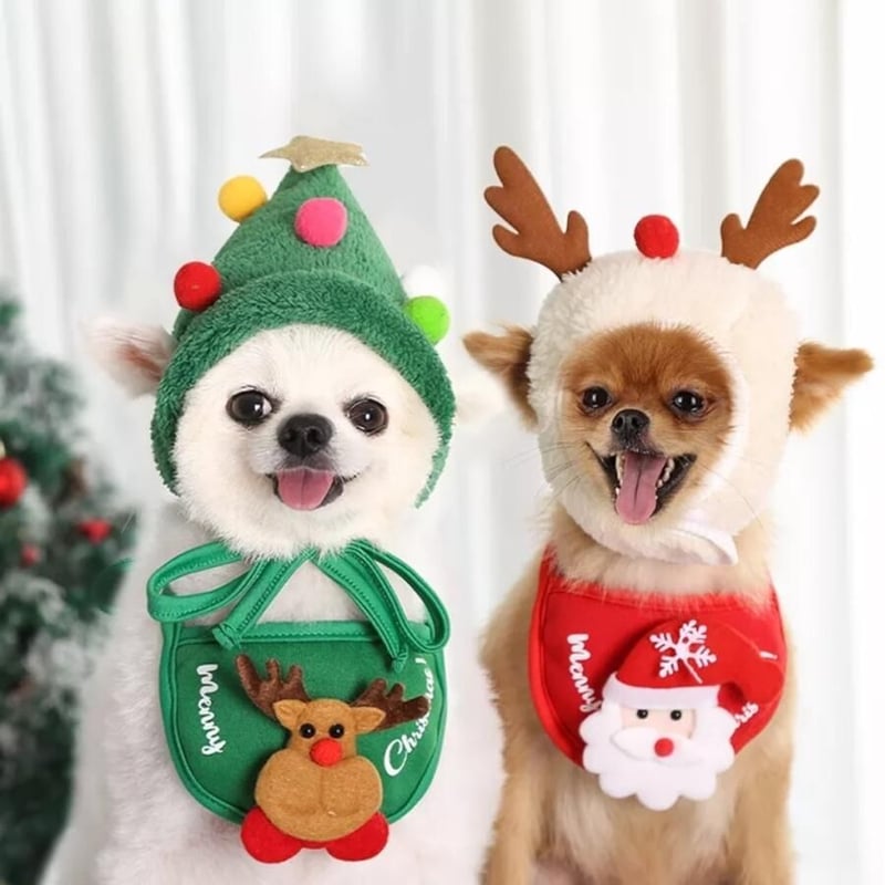 クリスマススタイ&帽子 サンタクロース サンタ トナカイ