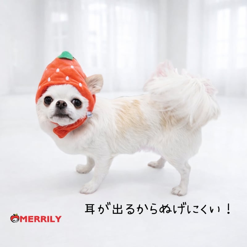 苺 帽子犬 ペット 小型犬 犬用 被り物 キャップ 犬帽子 犬の帽子 犬用