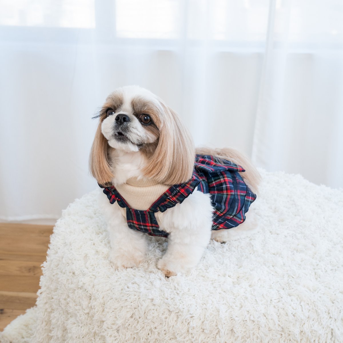 ★レア★　MARS マーズ　犬服　パフューム柄おリボン付フリルワンピ　Sサイズ ☆レア☆ MARS マーズ 犬服 パフューム柄おリボン付フリルワンピ