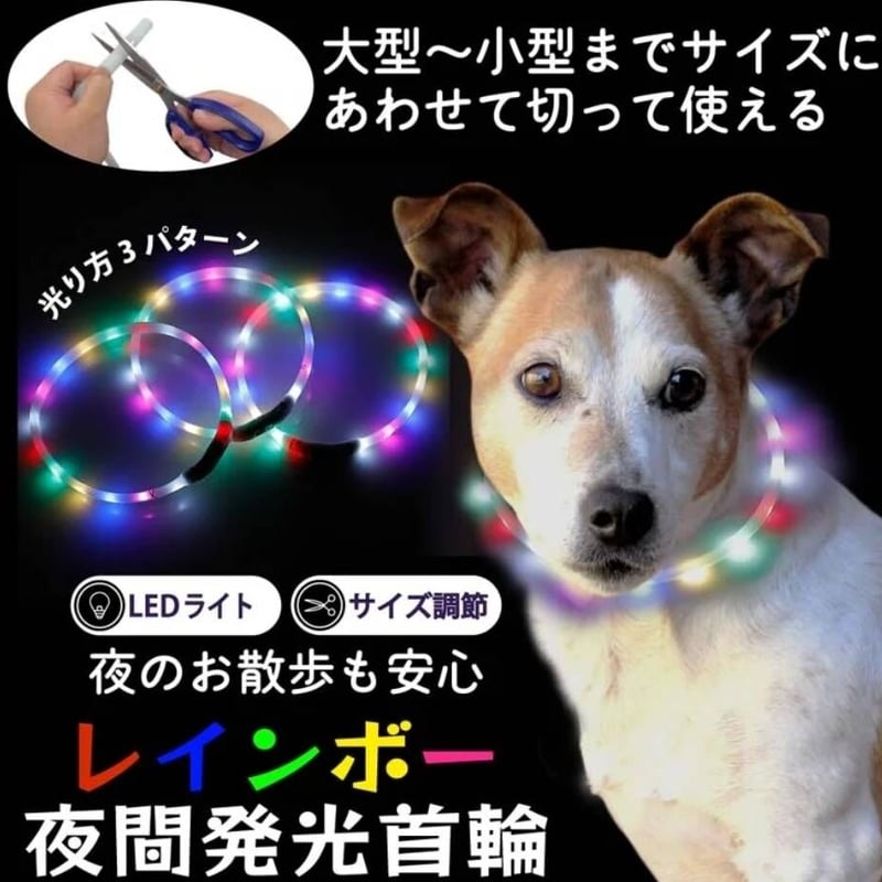 犬 猫 光る首輪 散歩 NEW【送料無料】KM525G犬LEDライト 首輪 光る 犬