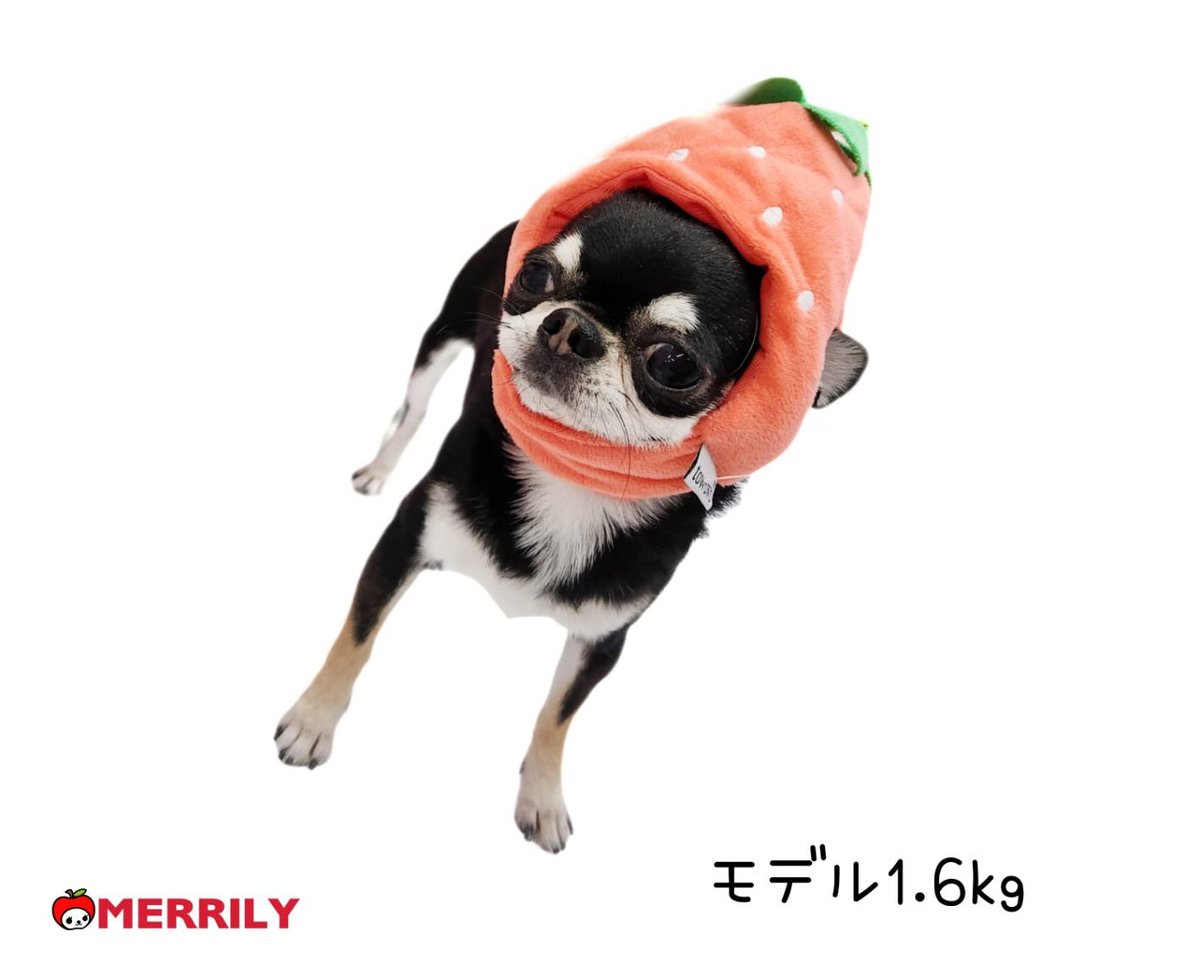 fit=scale-down,w=1200