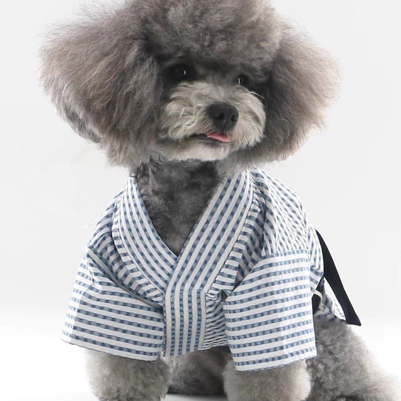 犬の服 犬服 春 夏 浴衣 男の子 お祭り 甚平 晴着 犬用浴衣 チワワ
