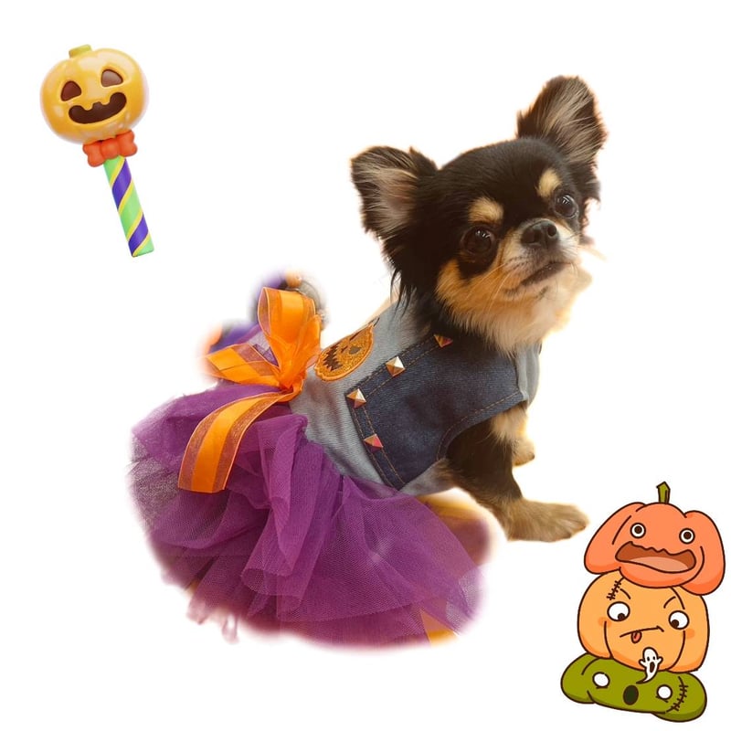 犬服デザインフリフリワンピースモコモコワッペン見本 犬服 フリフリワンピース ペット服・アクセサリー Moe 通販