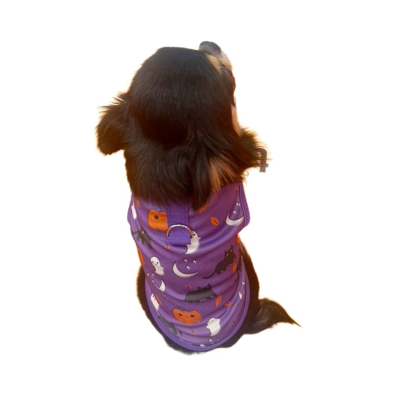 ハロウィン タンクトップ ハロウイン コスプレ リードフック付き 犬服