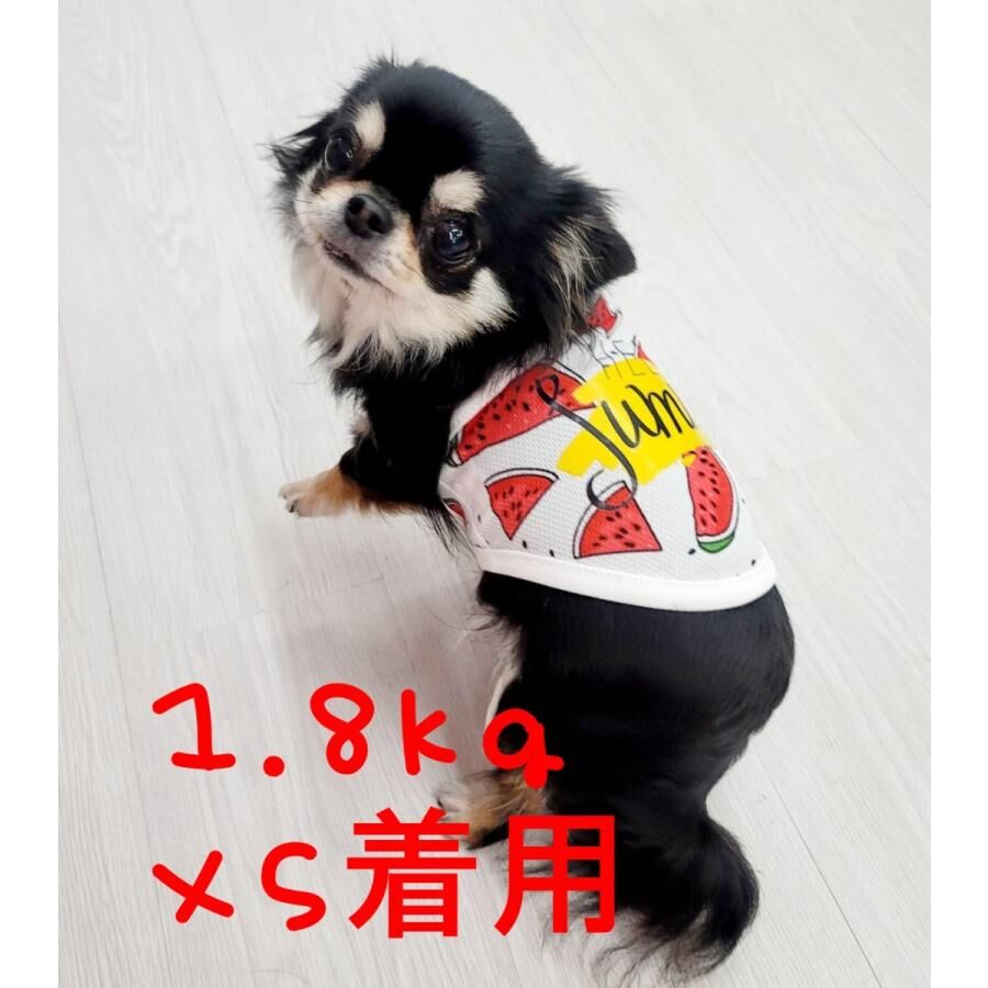 4XLスイカ柄タンクトップ トップスシャツ 夏 犬の服 大型犬 わんこ服
