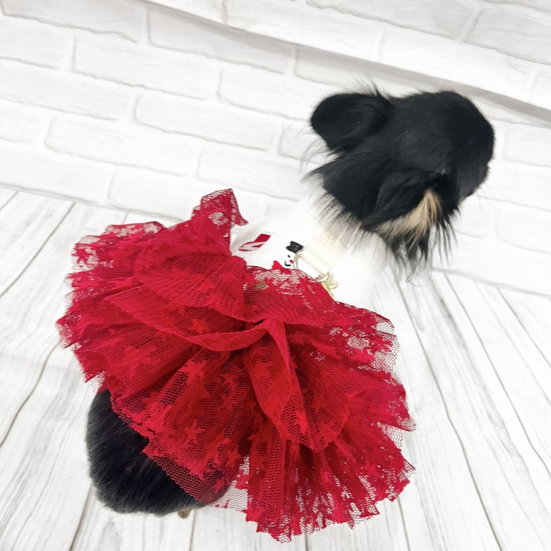 よそゆきワンピース　犬服ハンドメイド　クリスマス　犬服ワンピース　∞TuTu∞ 93606c7ebe8cdda981fca1efd37572