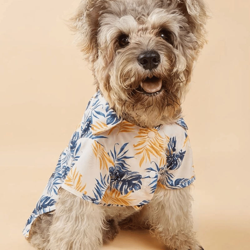 アロハシャツ 犬 春 夏 ペット 洋服 わんこの服 チワワ 可愛い 薄手 海 