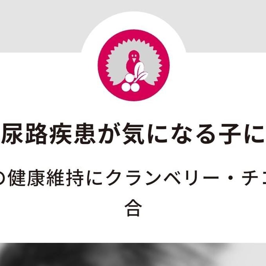 63ca28f252de155b99f2f96e