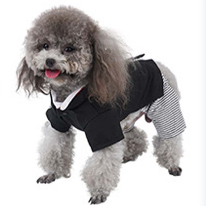 お正月に間に合います犬服犬用お着物Mサイズ 4kg前後