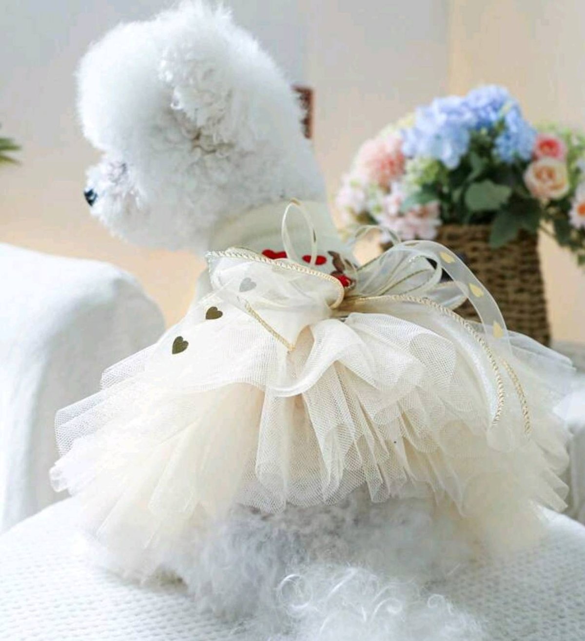 mond mou ペット服　リボンドレス mond mou ペット服 リボンドレス ミラクルリボン ドッグドレス