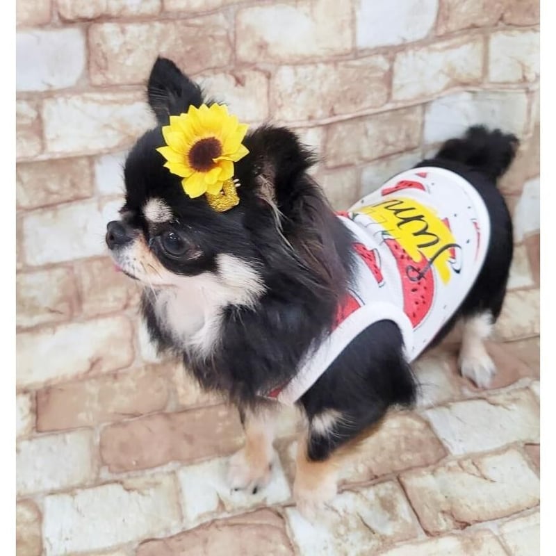 ひまわり☆様❤️秋冬お洋服♡お帽子♡ハンドメイド犬服♡