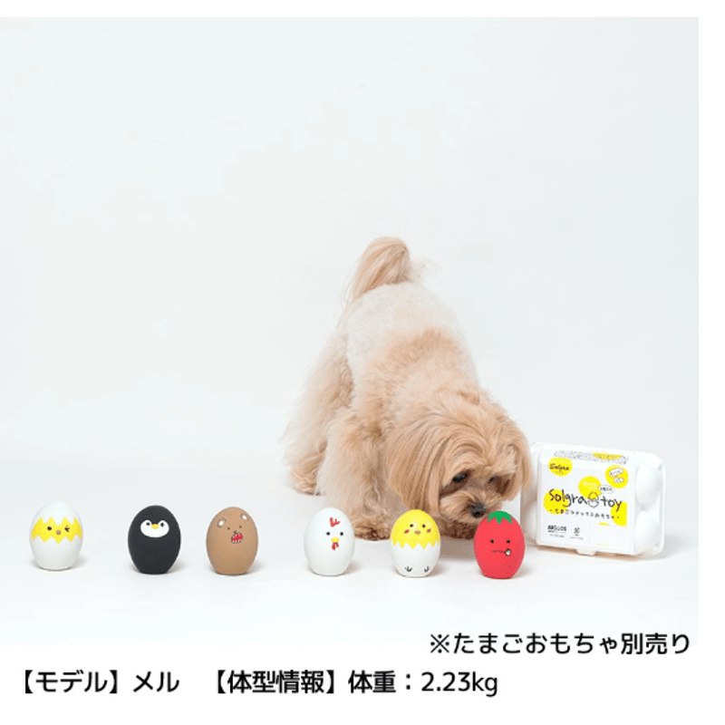 ラテックス たまご エッグ 犬のおもちゃ 犬 おもちゃ 鳴る トイ 犬用