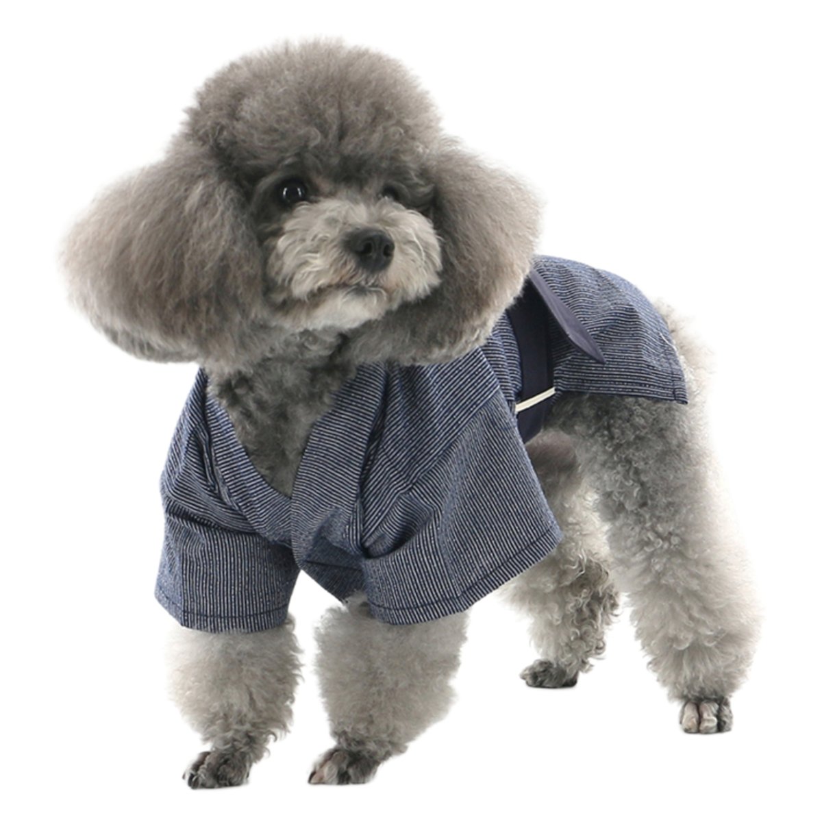 新品　小型犬用☆夏服⭐︎お祭り⭐︎浴衣☆着脱楽ちん　トイプードル　シーズー　L 犬の服 犬服 春 夏 浴衣 男の子 お祭り 甚平 晴着 犬用浴衣 チワワ