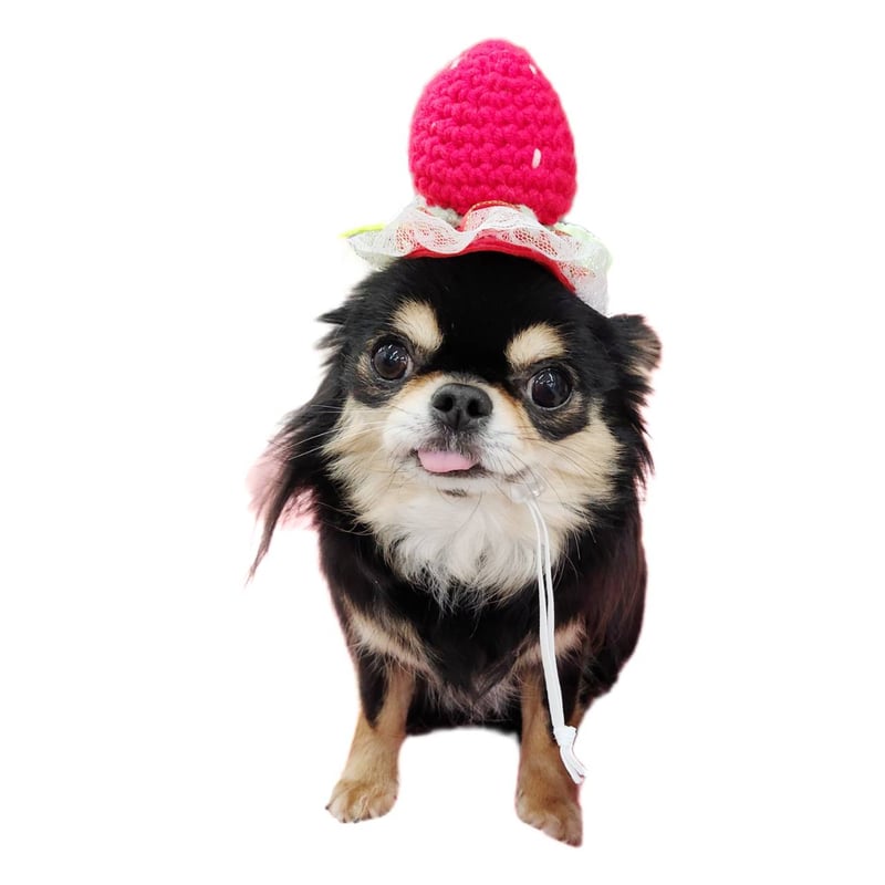 犬用いちご帽子 犬 帽子 いちご ヘッドドレス 犬の帽子 犬用帽子 イチゴ 苺 小型犬