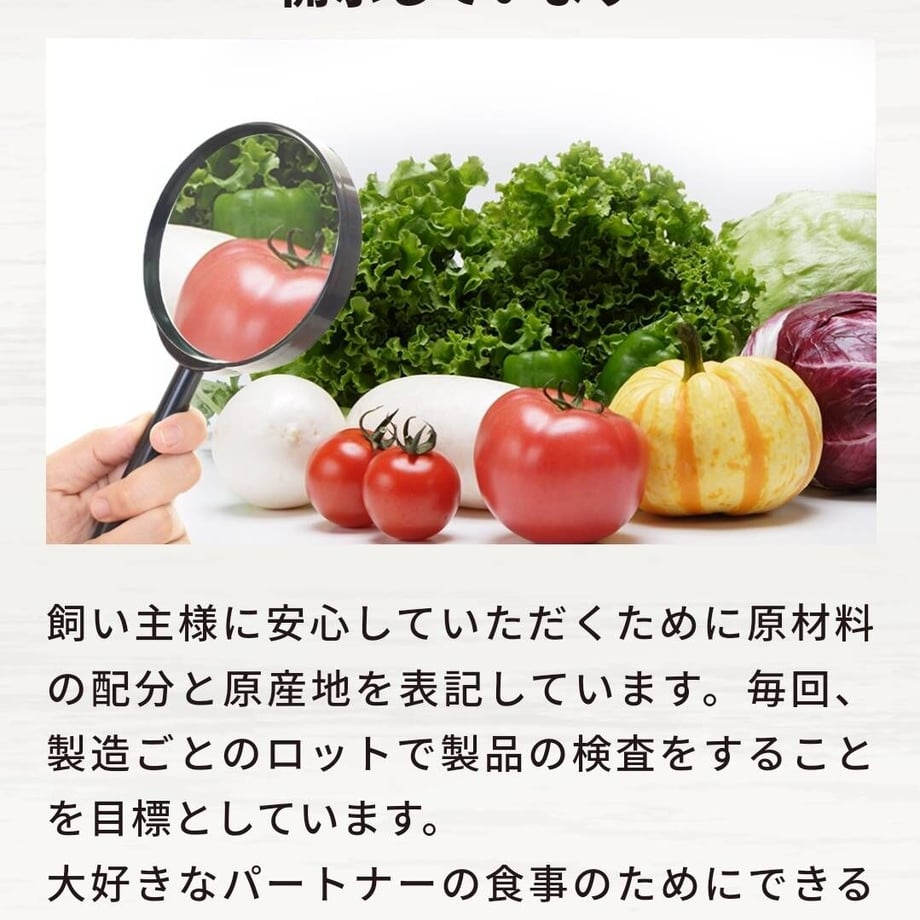 63ca28f252de155b99f2f96e