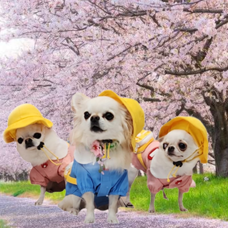 幼稚園スモック 犬服 可愛い コスプレ 園児服 コスチューム 小型