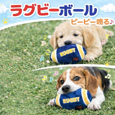 ラグビーボール | STORES