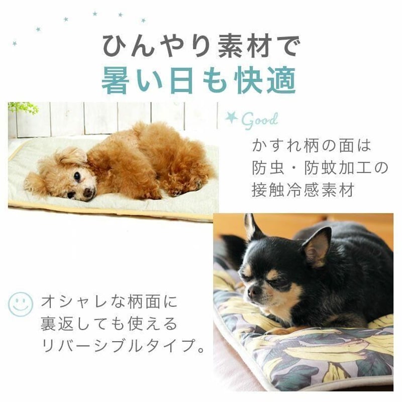 犬 猫 ベッド IDOG&ICAT ひんやりラウンドベッド COOL アイドッグ 春夏