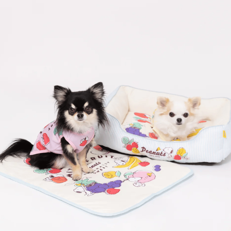 Peanuts ピーナッツ SNOOPY スヌーピー フルーツ柄 クール