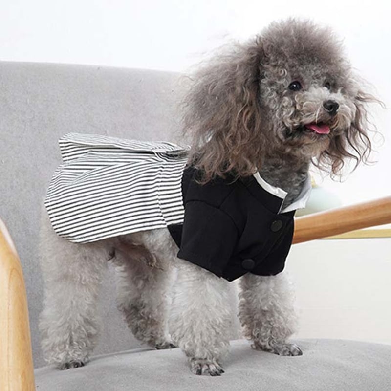 お正月に間に合います　犬服　犬用お着物　　Mサイズ ４kg前後 お正月に間に合います犬服犬用お着物Mサイズ 4kg前後