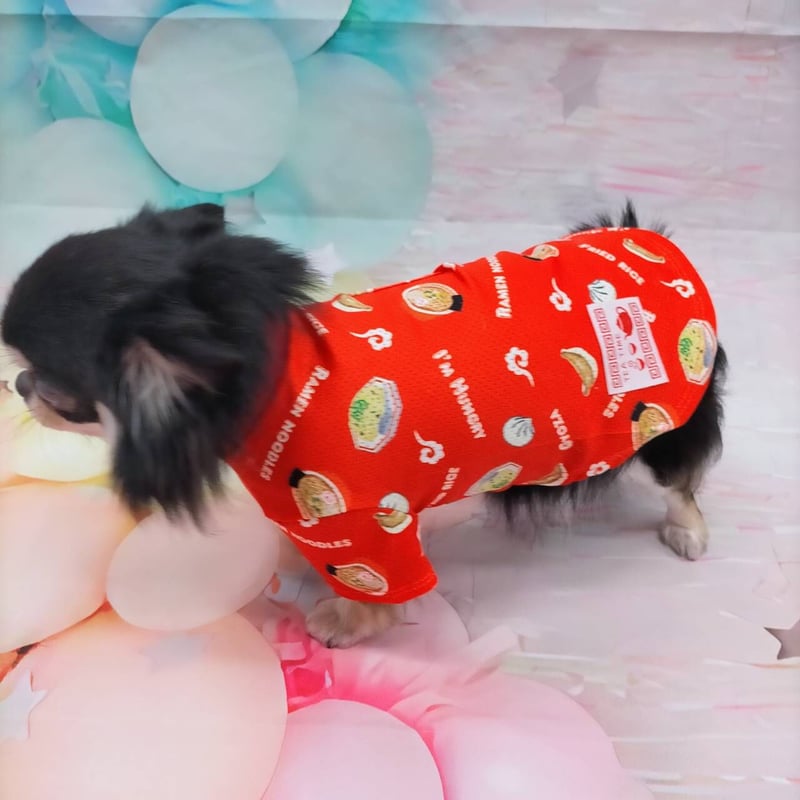 中華Tシャツ 小型犬 犬の服 チワワ プードル ポメラニアン ラーメン