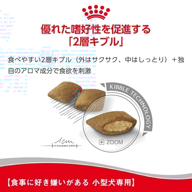 ロイヤルカナン ミニ エクシジェント(食事に好き嫌いがある犬用 ロイヤルカナン ミニ エクシジェント(食事に好き嫌いがある犬用
