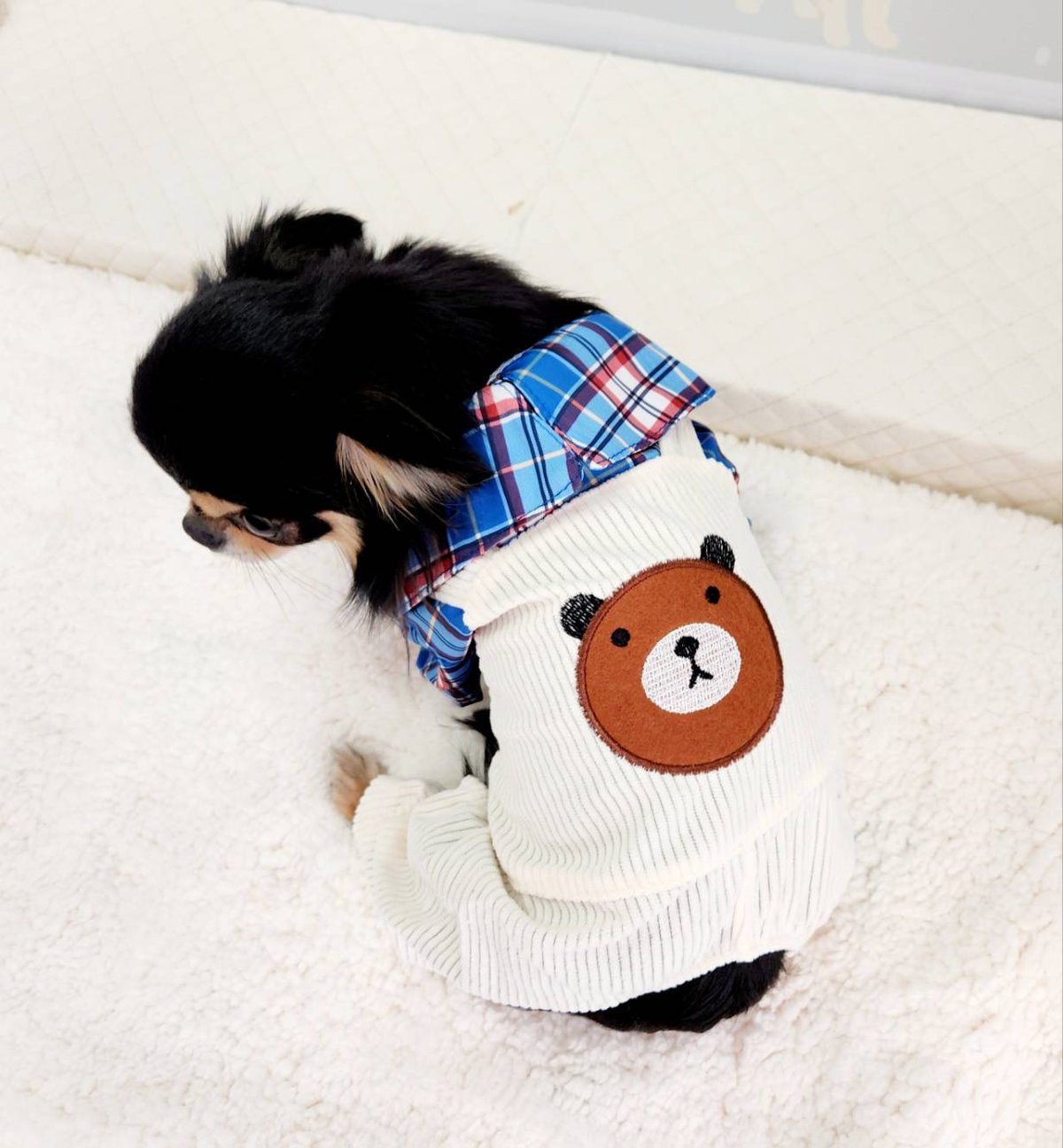 犬服 SS わんこの普段着　くまの散歩 犬服 L わんこの普段着 くまの散歩 犬服 SS わんこの普段着くま