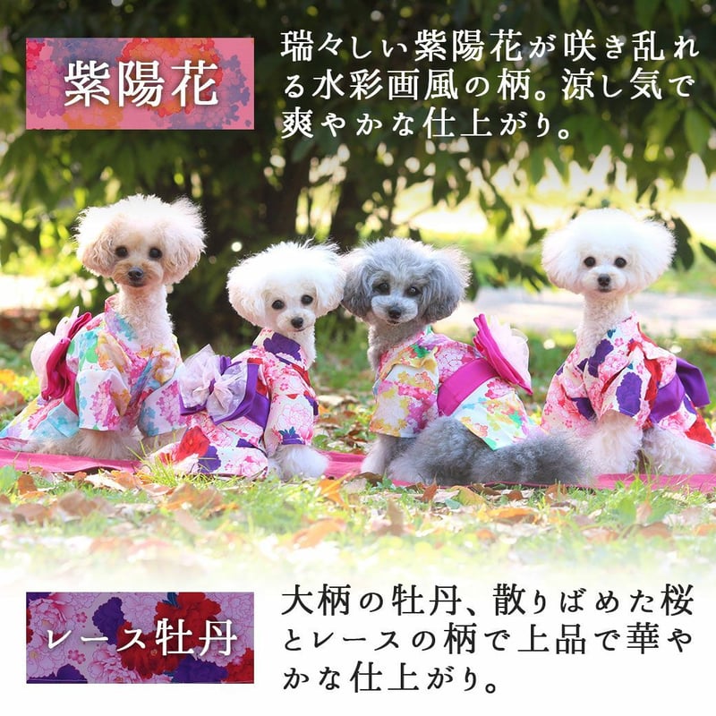 浴衣 犬 服 iDog 華やか大輪帯浴衣 ゆかた 夏 お祭り 季節