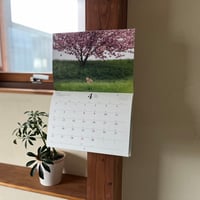 【A4壁掛けカレンダー】2026CALENDAR Wild animals in Hokkaido ー北の大地を奏でるー
