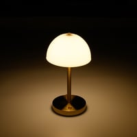 大光電気／DST-41888R