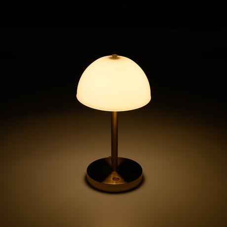 大光電気／DST-41888R