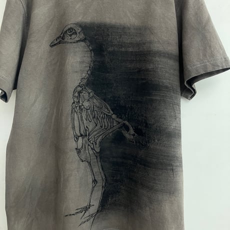 BIRD BONE