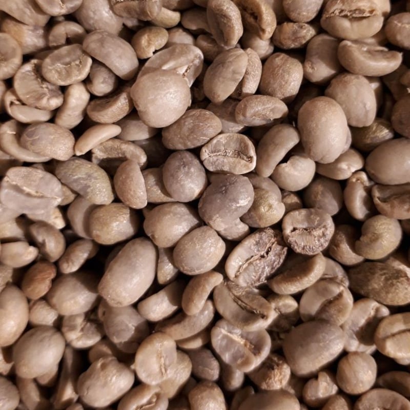 グアテマラ カフェ・ピューマ（200g） | Caffe La Costa