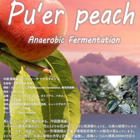 【定期便】Just My Coffee スペシャルブレンド（焙煎豆/200ｇ）※送料無料