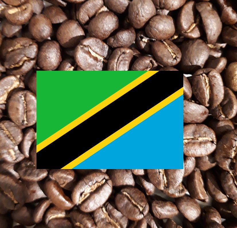 タンザニア キリマンジャロ ンゴロンゴロ AA（200g） | Caffe