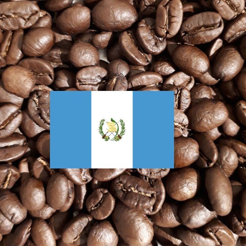 コーヒー生豆】グアテマラ SHB 10kg ※送料無料！ 1回毎注文